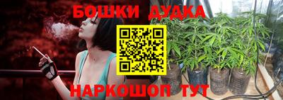 шишки Будённовск