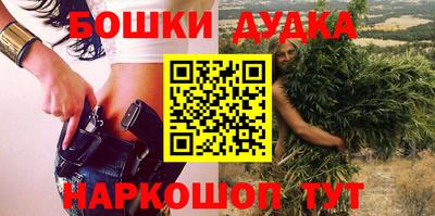 шишки Будённовск