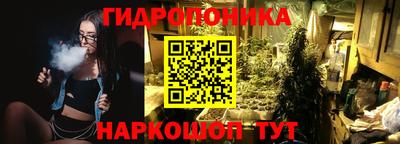 шишки Будённовск
