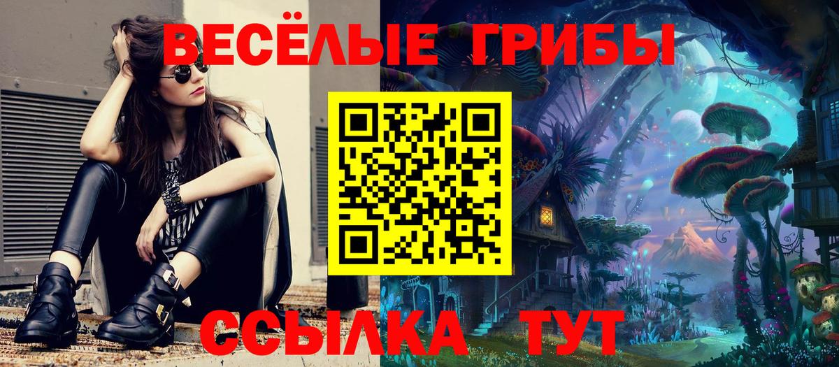 Галлюциногенные грибы GOLDEN TEACHER  Псилоцибиновые грибы GOLDEN TEACHER  Лиски  Вход с VPN 